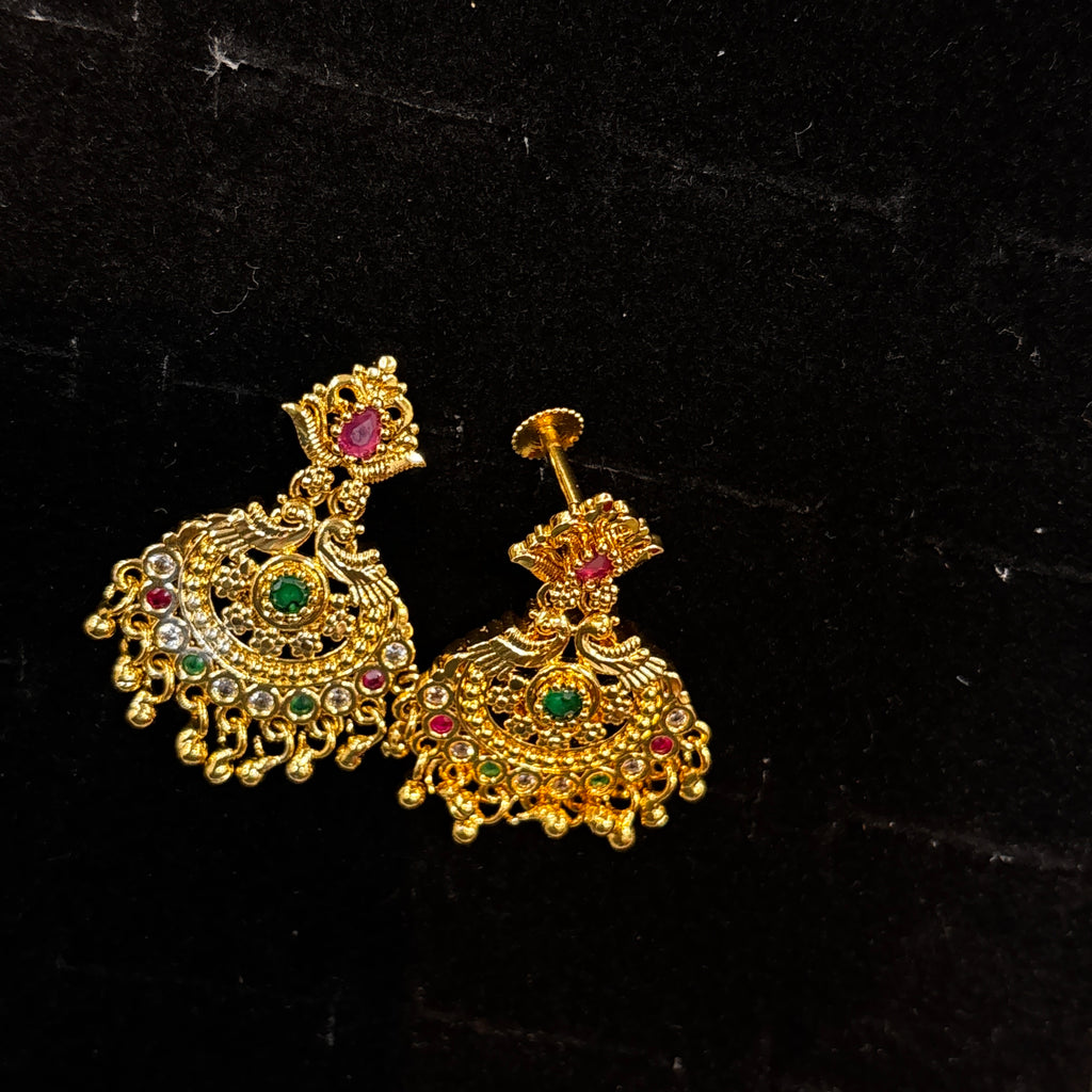 Multi Earrings SRJER140